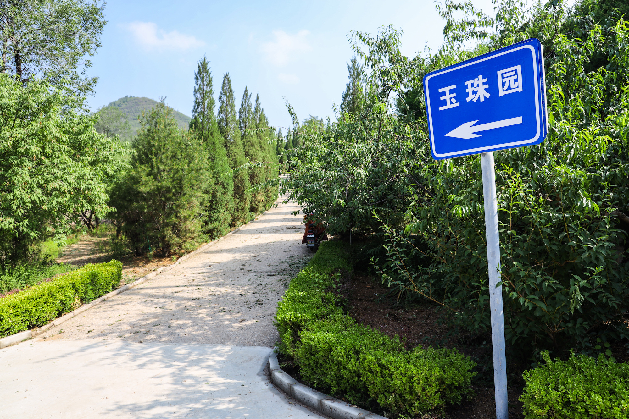 实用手册：北京景仰园陵园从咨询到安葬全流程指南